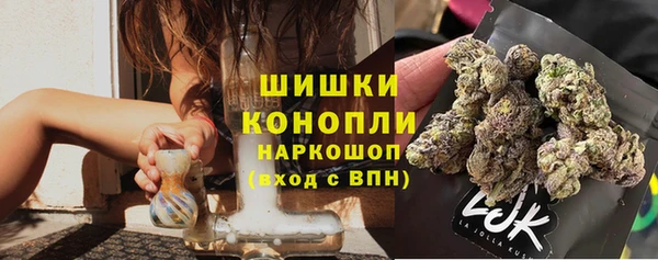 индика Покровск