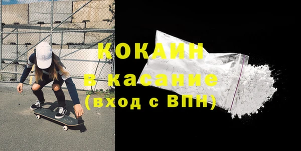 индика Новоульяновск