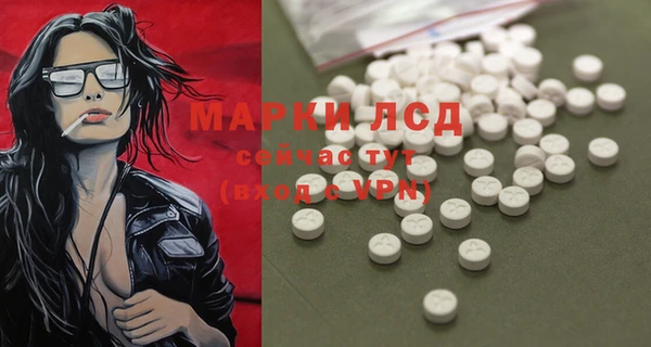 индика Покровск