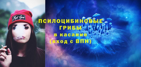 индика Покровск