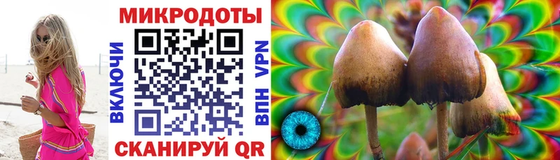 Псилоцибиновые грибы Psilocybe  Суздаль 